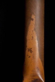 DSC_0571
